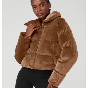 Ribbed Velour Gold Rush Puffer